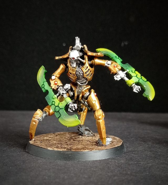 Destructores Skorperkh