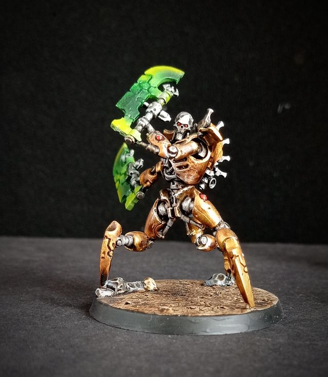 Destructores Skorperkh