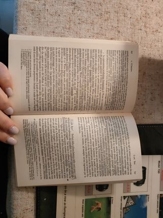 Mittner, storia letteratura tedesca