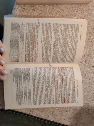 Mittner, storia letteratura tedesca