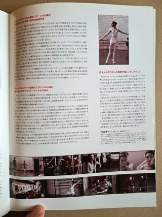 Programma giapponese Black Swan