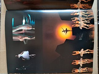 Programma giapponese Black Swan