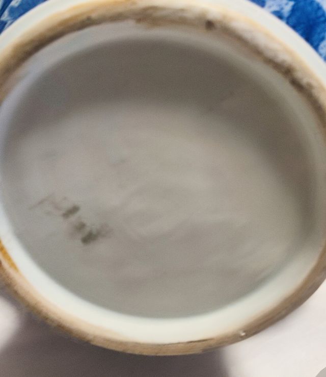 Jarrón Chino Dinastia Qing