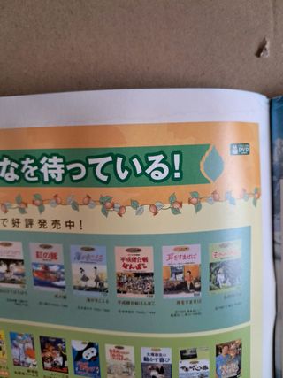 Programma giapponese Howl's Moving Castle