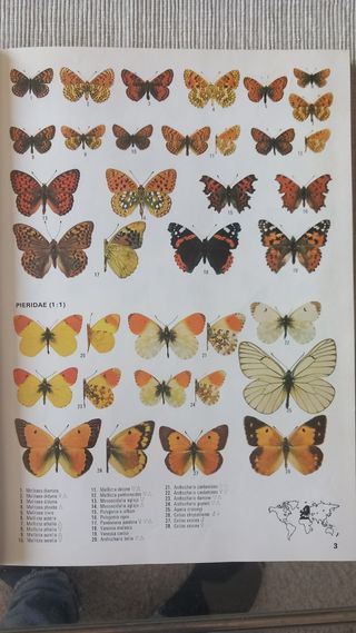 Las mariposas del mundo.  H.L.Lewis
