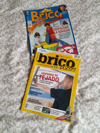 Lote de revistas de bricolaje