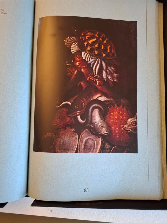 Franco Maria Ricci editore Arcimboldi libro d'art