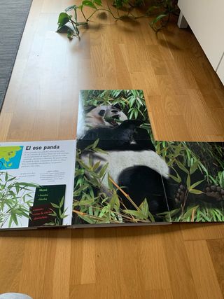 LIBRO Animales gigantes SM