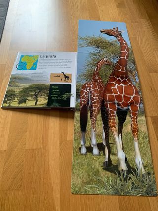 LIBRO Animales gigantes SM