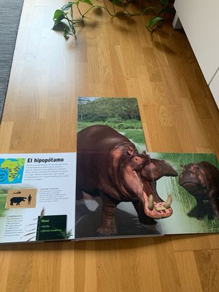 LIBRO Animales gigantes SM