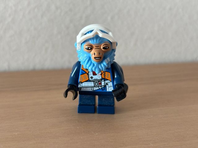 Lego figura  Río Durant