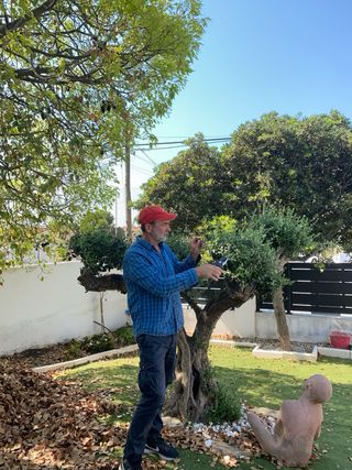 Jardinero / Mantenimiento Jardin