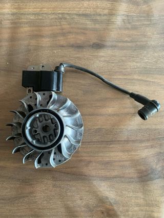 Plato magnetico y bobina ms 261 stihl