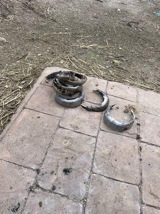 HERRADOR DE CABALLOS