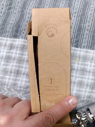 Válvulas lampara tubo de vacio PSVANE