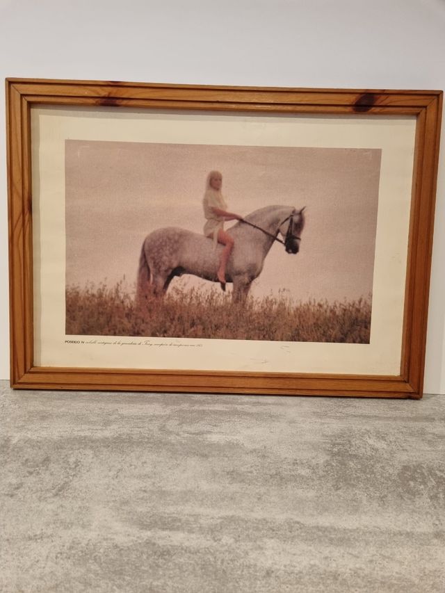 Lámina Caballo Terry 1975