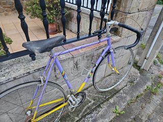 Bicicleta LAIZ