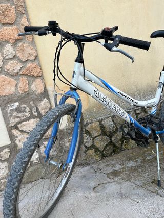Bicicleta de paseo