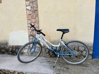 Bicicleta de paseo