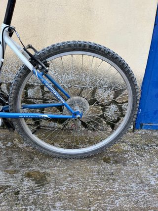 Bicicleta de paseo