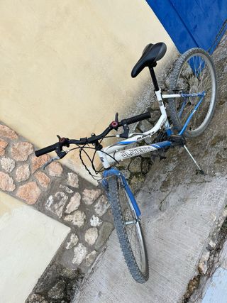 Bicicleta de paseo