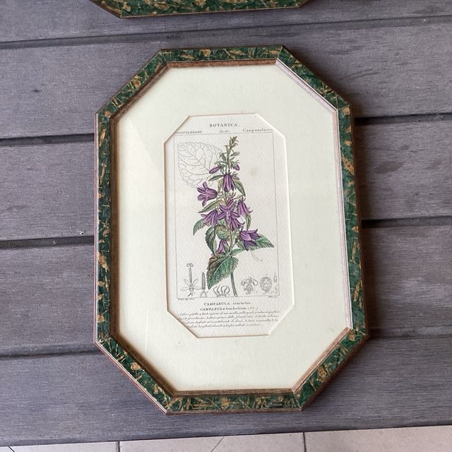 Conjunto de 5 cuadros. Dos tamaños