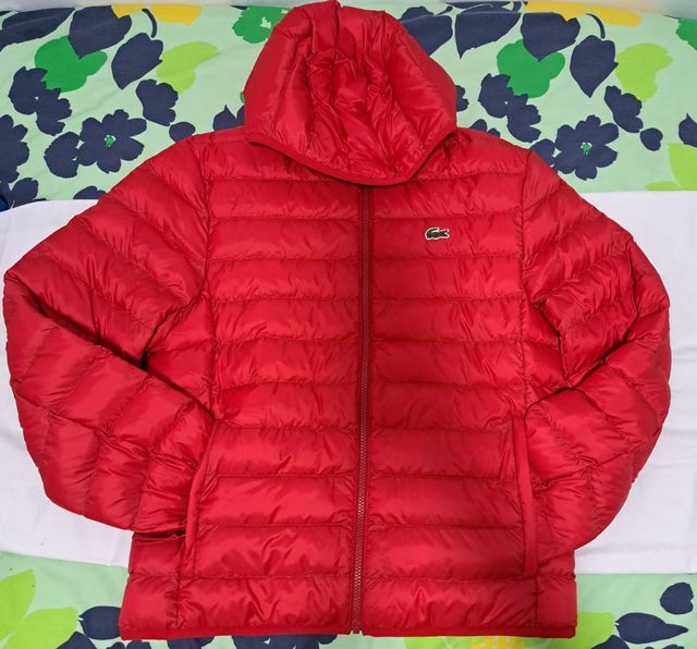 chaqueta lacoste