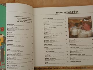 Birra, ricette con la birra. Birre del mondo