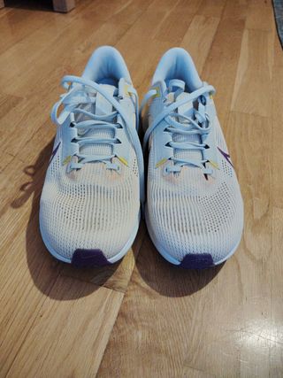 Nike Pegasus 40