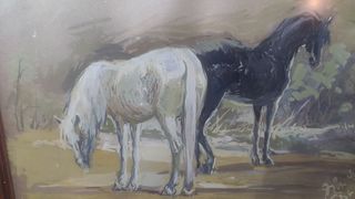 CUADRO LÁMINA DE CABALLOS