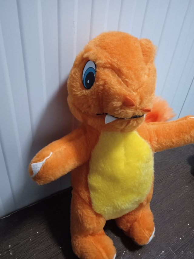 Charizard Pokémon