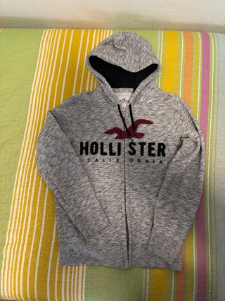 Sudadera gris hollister con capucha y cremallera