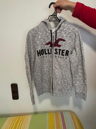 Sudadera gris hollister con capucha y cremallera