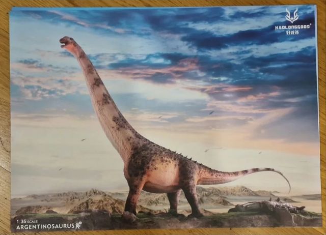 5 Poster dinosaurio haolonggood ed limita