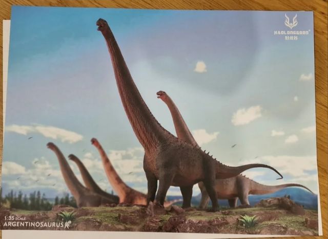 5 Poster dinosaurio haolonggood ed limita