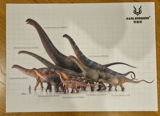 5 Poster dinosaurio haolonggood ed limita