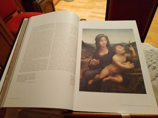 Leonardo Da Vinci (Spanish Edition)