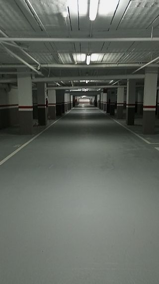 Ayudante de paletería/pintura/reparto