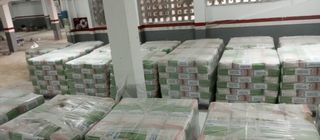 Ayudante de paletería/pintura/reparto