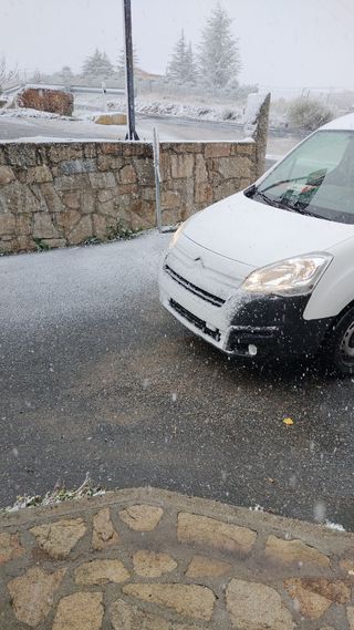 Transportista autónomo