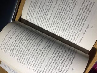 Ocho y Timantti Rebeca Stones 16 años