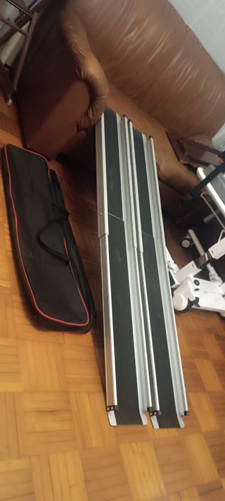 Rampa telescopica movil