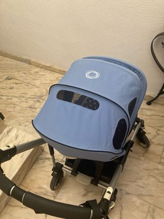 Bugaboo bee