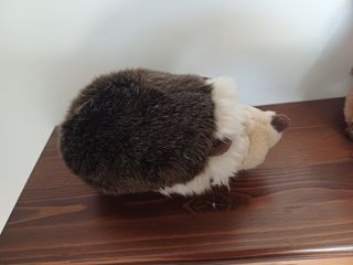 Peluche riccio nuovo