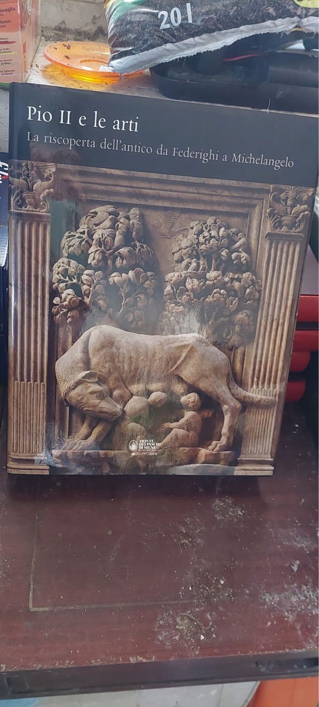 Libro Pio II e le arti