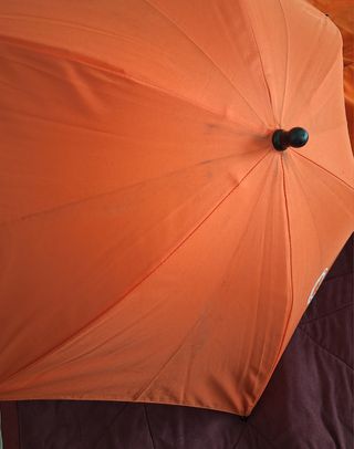 Conjunto bugaboo camaleon naranja 