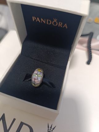 Charm pandora