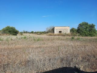 Solar en venta en Santa Margalida en Santa Margalida