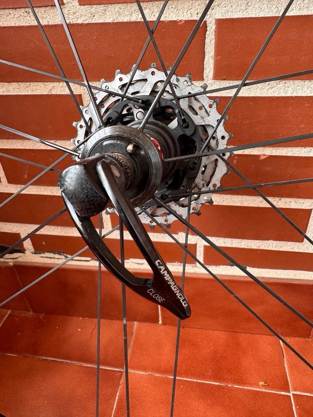 Ruedas campagnolo bora ultra 35