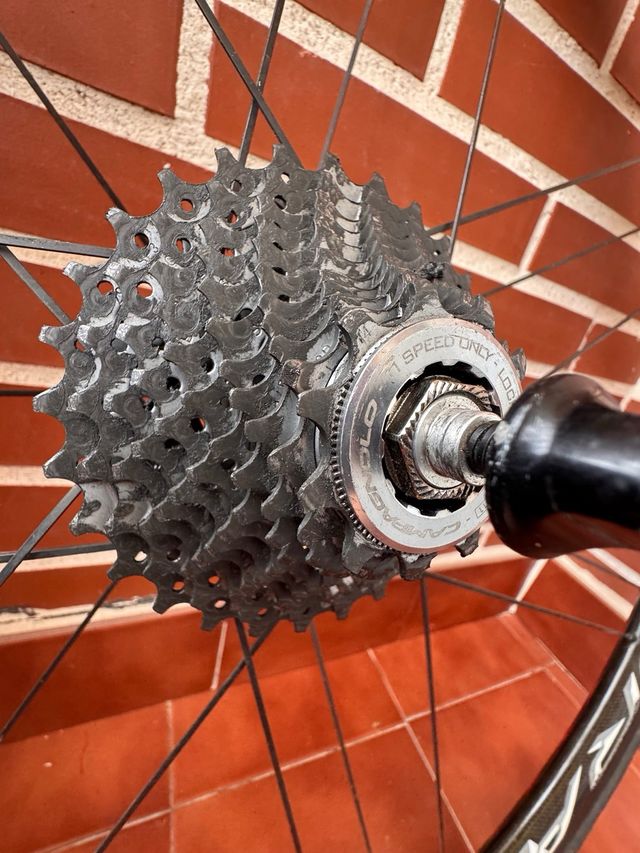 Ruedas campagnolo bora ultra 35